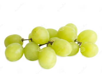 picture of grapes